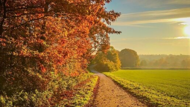 Una giornata d'autunno - (&copy;pixabay.com)