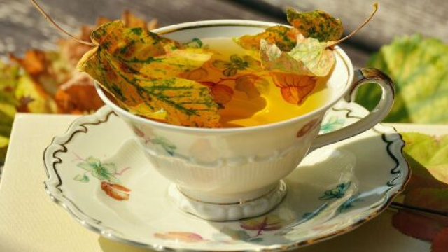 Tazzina di te con folliage &copy; Pixabay