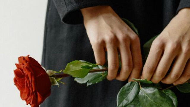 Una rosa fra le mani - &copy; Pexels