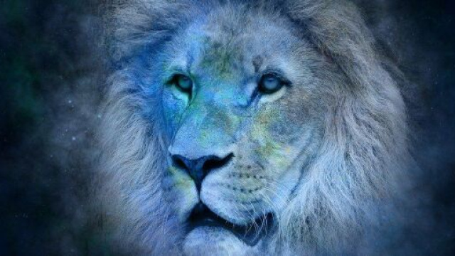 Un leone blu su sfondo nero &copy; Pixabay