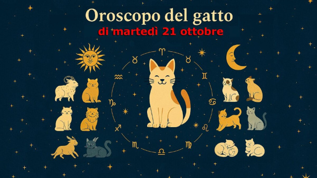 Gatto con simboli zodiacali e scritta oroscopo del gatto con la data - &copy; Copilot IA.