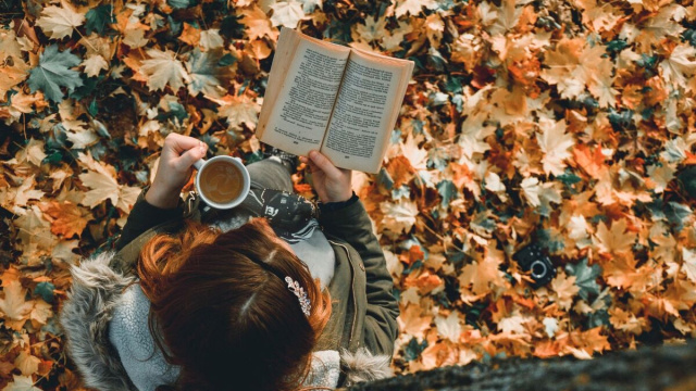 Ragazza che legge un libro &copy; Immagine di Pixabay