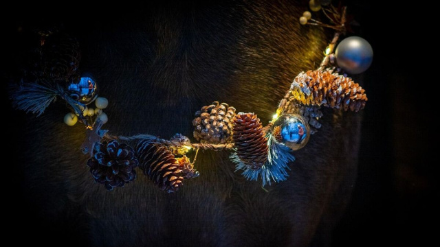 Una ghirlanda natalizia (&copy; Pixabay).