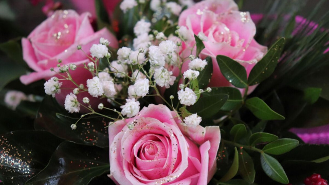 decorazione natalizia di rose rosa &copy; Pixabay