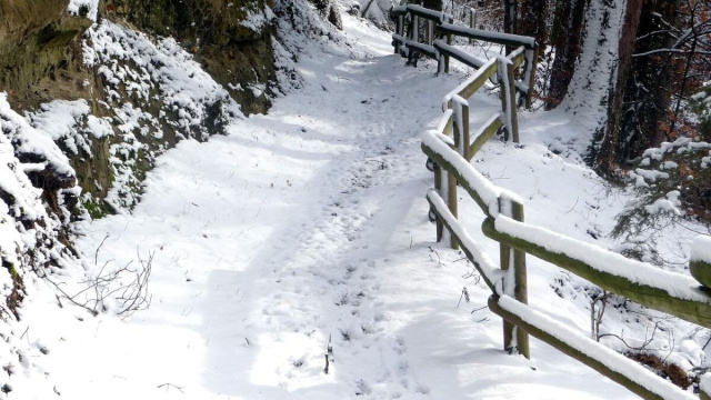 Sentiero di bosco innevato &copy; Pixabay