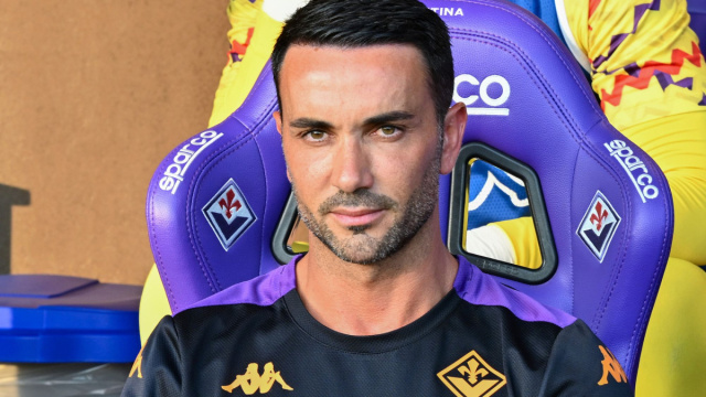 Fiorentina, Palladino sul mercato: "Speriamo arrivi presto ci&ograve; che ... &copy; Creative Commons