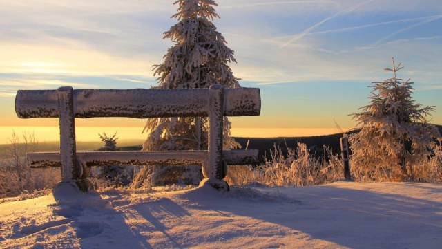 Paesaggio con panchina e alberi innevati - &copy; Pixabay.