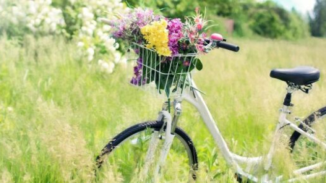 Una bicicletta in mezzo alla natura (&copy; Pixabay).