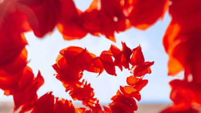 Petali a forma di rosa &copy; Immagine di Pexels.