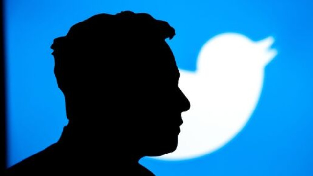 L'ombra di Elon Musk e il vecchio logo di Twitter. &copy;Shutterstock