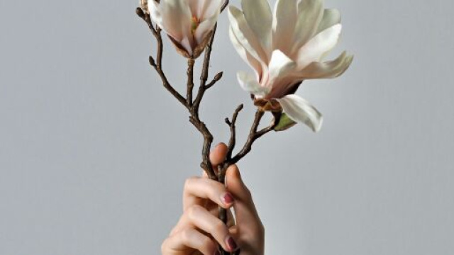Una mano che regge due fiori &copy; Immagine di Pexels