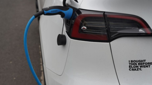 Una Tesla con l'adesivo che Piccolotti dice di aver attaccato alla sua Model Y. &copy;Shutterstock