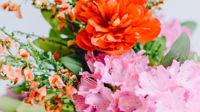 Un vaso di fiori colorati &copy; Pexels