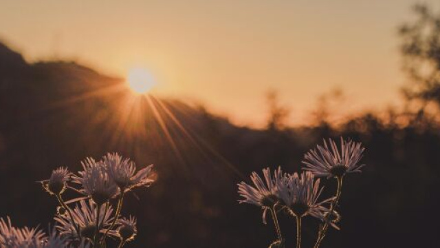 Sole che sorge su una collina - &copy;Pexels.