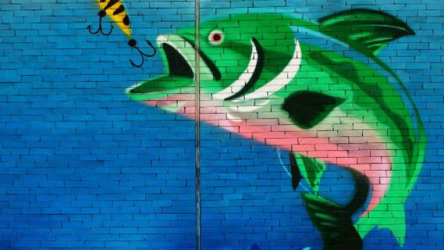 Pesce che abbocca l'amo - &copy; Pexels.