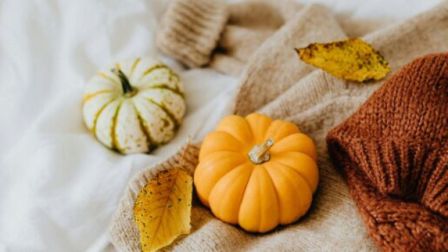 Foto delle zucche &copy; Pexels.com