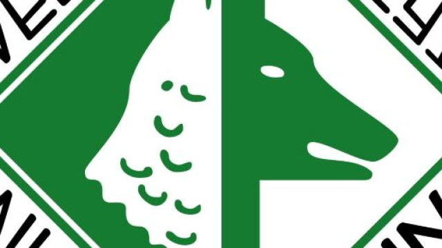 Il logo dell'Avellino &copy; US Avellino
