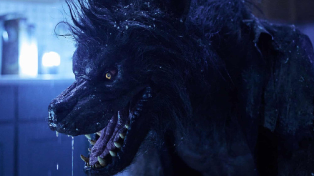 Screenshot del film Werewolves &copy; Profilo X - Steven C Miller