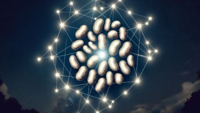Illstrazione ispirata al segno del Cancro e ai fagioli della Smorfia. &copy; Immagine creata con Dall-E