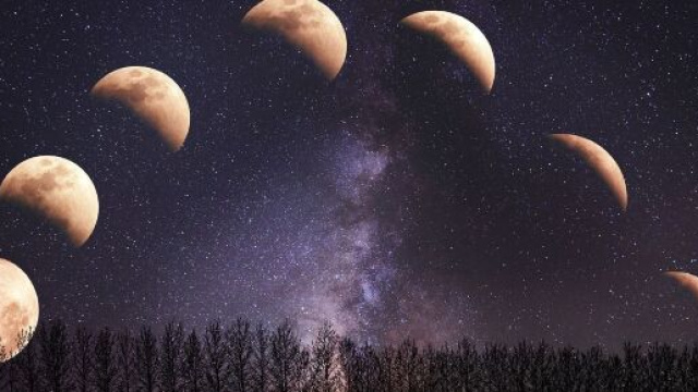 Fasi della Luna durante un intero ciclo lunare &ndash; &copy; Pixabay.