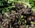 Conserva di carciofi al limone, una golosità buona tutta l'anno