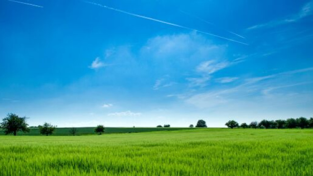 Un prato verde e il cielo sereno &copy; Pexels.com