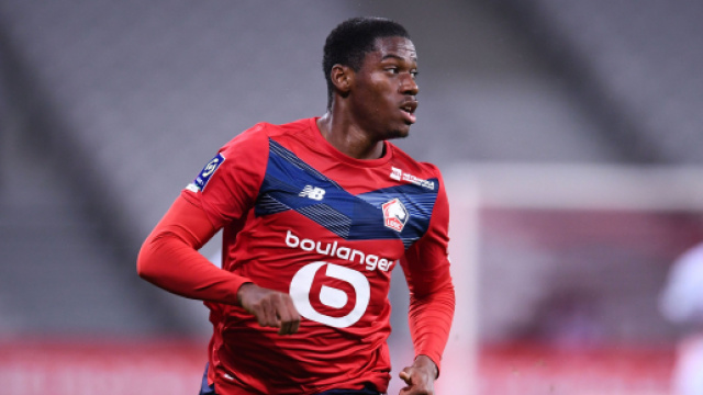 Proflio Instagram &copy;Jonathan David