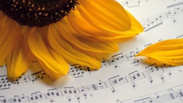 Un girasole su uno spartito musicale (&copy;pixabay)