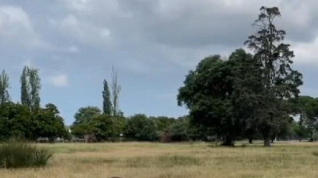 Campo erboso in primo piano con alberi sullo sfondo &ndash; &copy; Flavia Castellini.