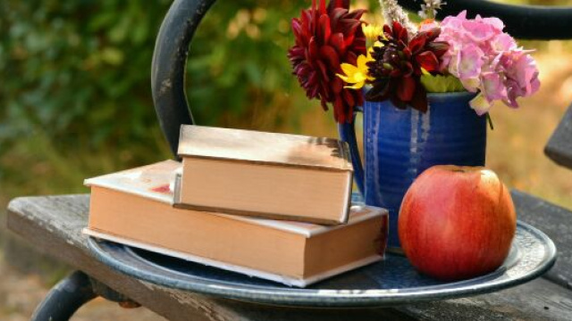 Libri, vaso e una mela su una panchina- &copy; Pexels