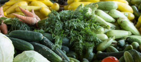 Minestra di verdura di Rioja, un piatto della tradizione pellegrina spagnola