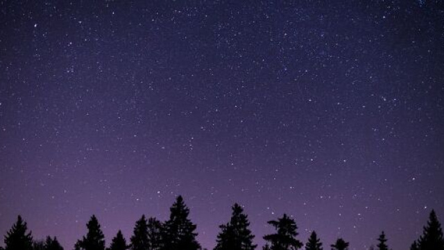 Una foresta e il cielo stellato &copy; Pixabay.