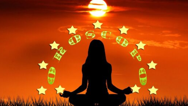 Figura yoga con le stelle dell'oroscopo - &copy; Roberta Carsoli.