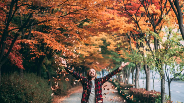 Uomo che lancia le foglie secche- &copy; Pexels.