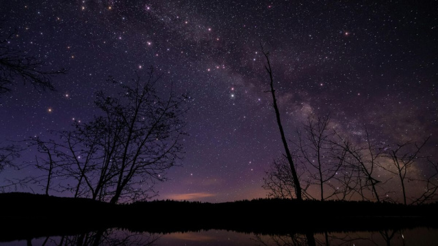 Cielo stellato e alberi spogli-&copy; Pexels.