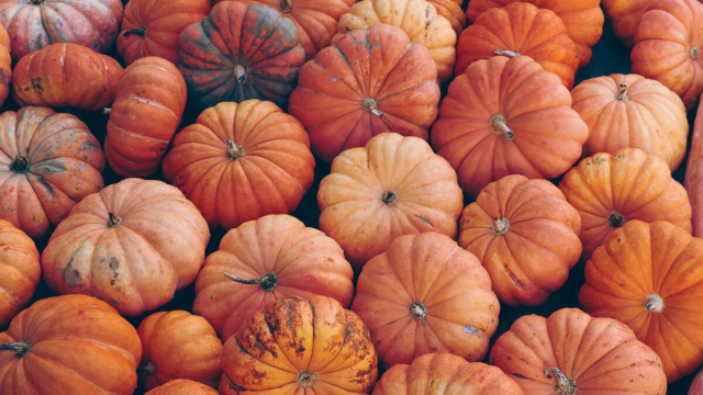 Tante zucche insieme &copy; Pixabay