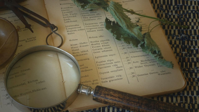 Immagine Pixabay (licenza gratuita).