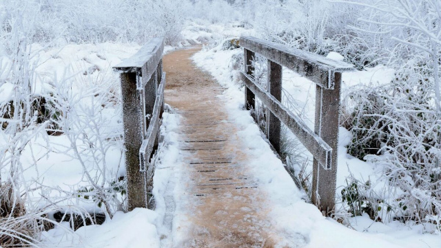 Ponte ricoperto di neve &copy; Pixabay.