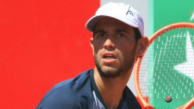 Nuno Borges (Wikimedia commons).