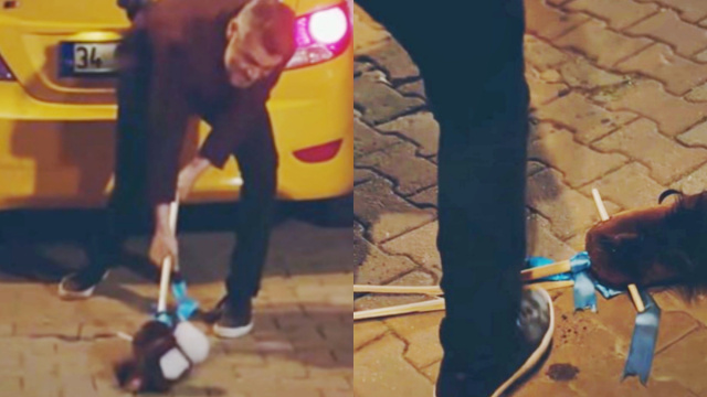 Sarp distrugge il gioco di Doruk &copy; La forza di una donna - Kadın