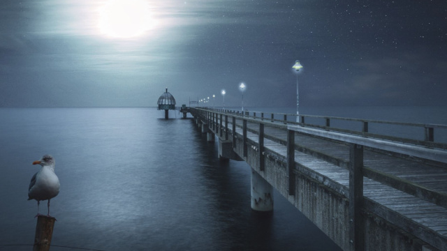 Un molo di notte con un gabbiano - pixabay.com