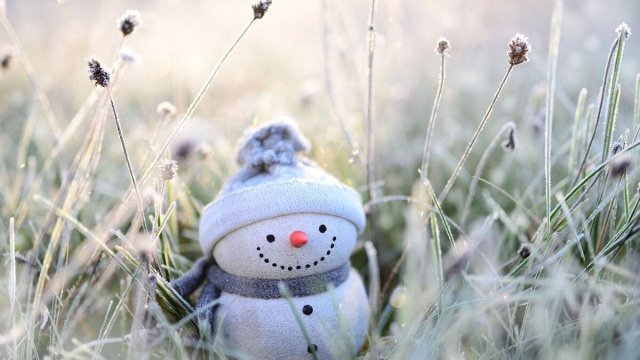 Un Pupazzo di neve (&copy;pixabay.com)