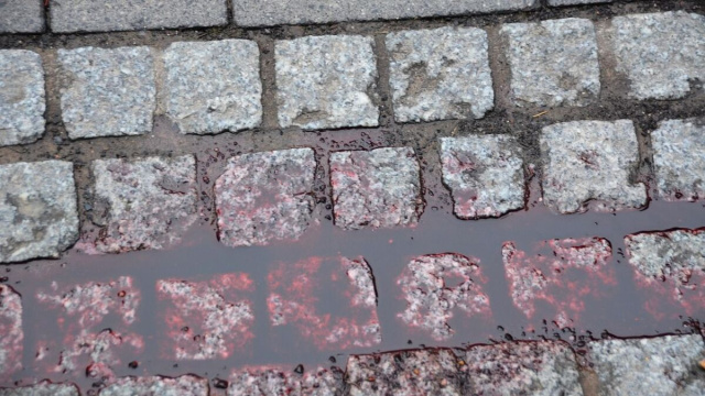 Omicidio dello studente Abanoub Youseff alla Spezia