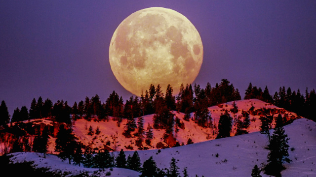 Luna piena con paesaggio invernale-&copy;Pexels