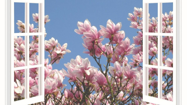 Bonus infissi 2026: tutte le agevolazioni per cambiare finestre e serramenti Immagine: pixabay.com