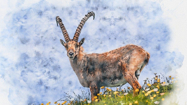 Segno zodiacale del Capricorno &copy; Pixabay.