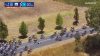 Caos al Tour Down Under: un canguro provoca una maxicaduta tra i corridori (Video)