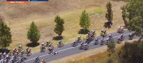 Caos al Tour Down Under: un canguro provoca una maxicaduta tra i corridori (Video)