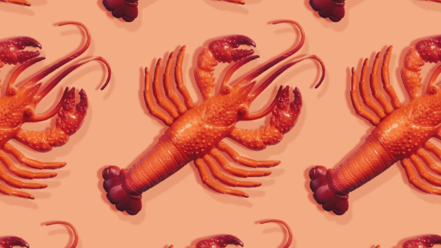 Everything you need to know about viral personal AI assistant ... &copy; Creative Commons