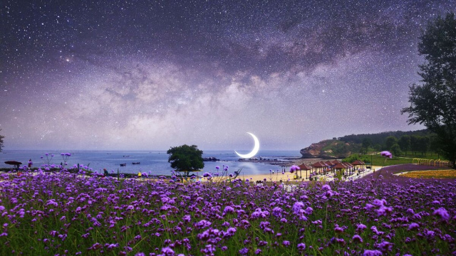 Panorama notturno sul mare &copy; Pixabay